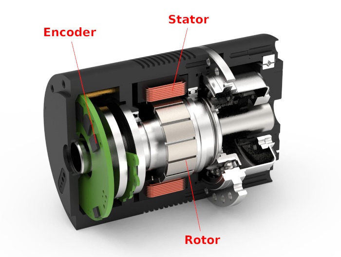 Cấu tạo của motor servo gồm rotor và stator