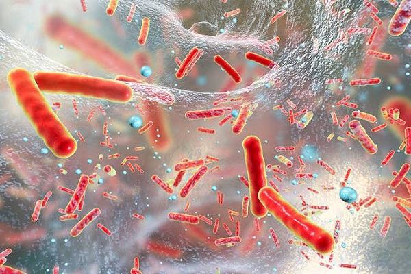 Các nhiễm trùng do vi khuẩn yếm khí thường xuất hiện ở những bệnh nhân sau phẫu thuật